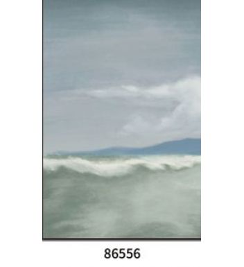 86556