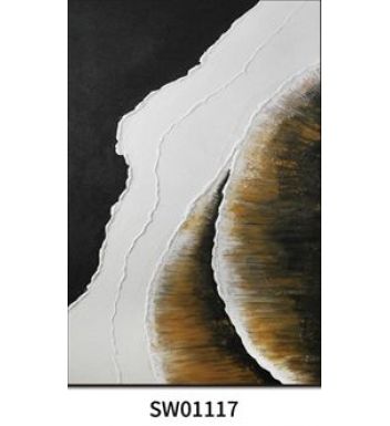 SW01117