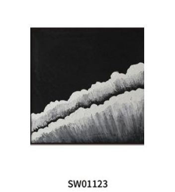 SW01123